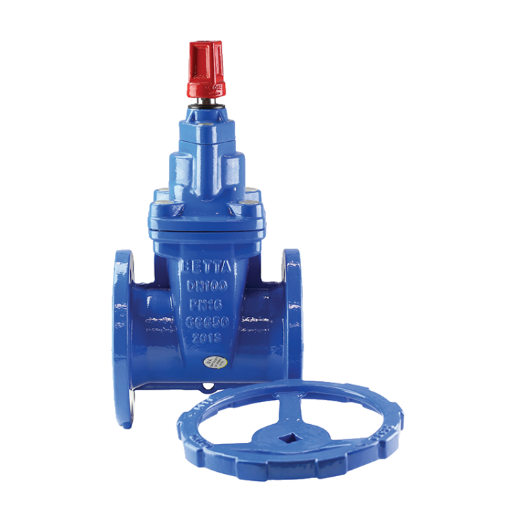 Gate Valve R/S WM Approved Anti-Clockwise T/E