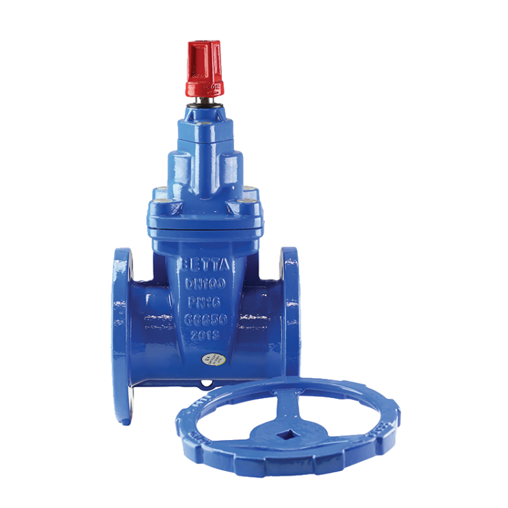 Gate Valve RS WM Approved Clockwise T/E