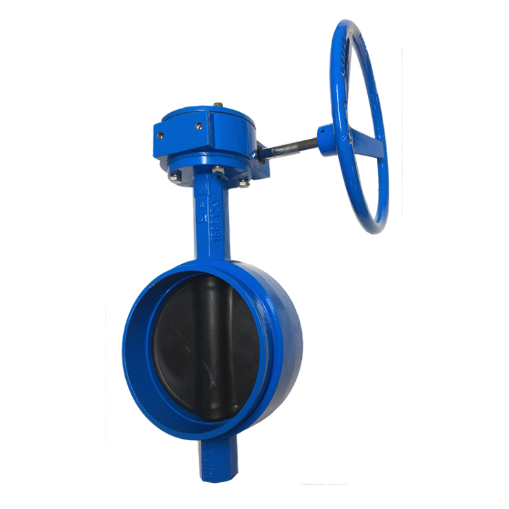 Watts PN16 Roll Grooved Butterfly Valves Gear
