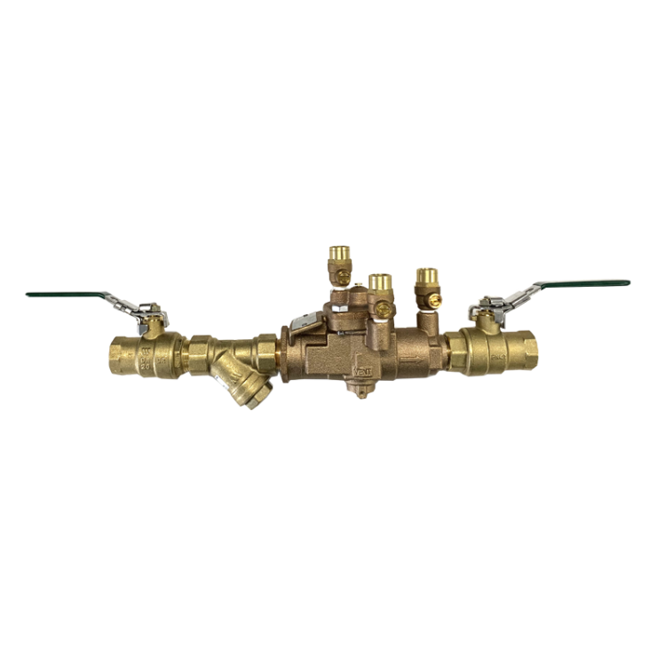 009 with 2 Lockable Ball Valves Plus Inline Strainer
