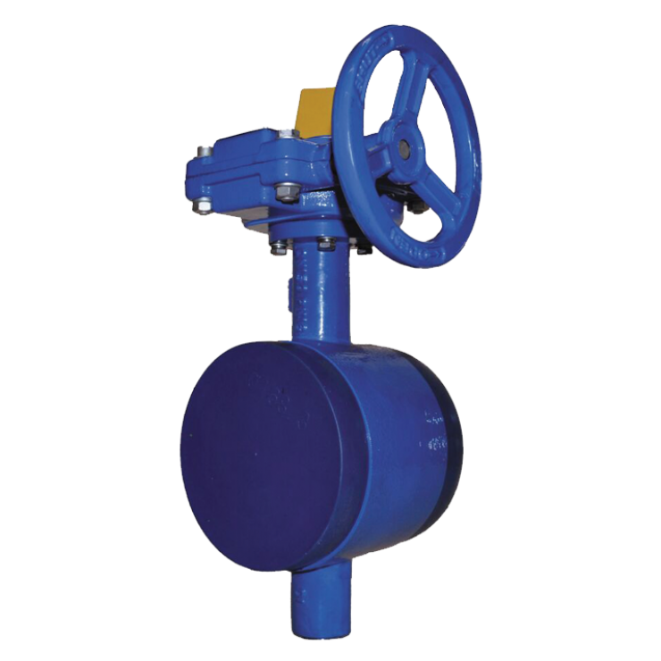 Victaulic Watermarked Butterfly Valve Style 70B