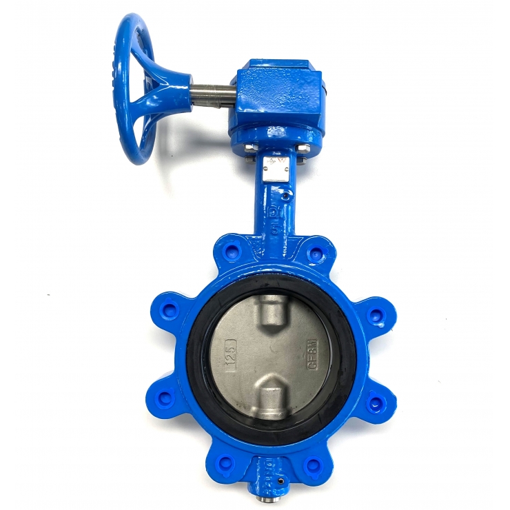 Hydroflow Gear Operated Lugged Butterfly Valve Watermarked 50mm - 300mm