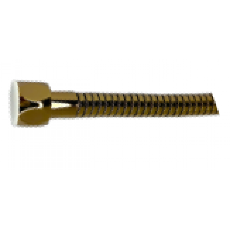 Bronze Lead-Free SS Flexi Hose F/F