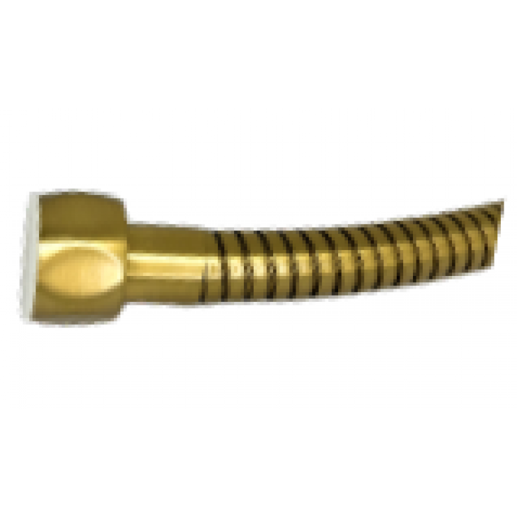 Brushed Gold Lead-Free SS Flexi Hose F/F